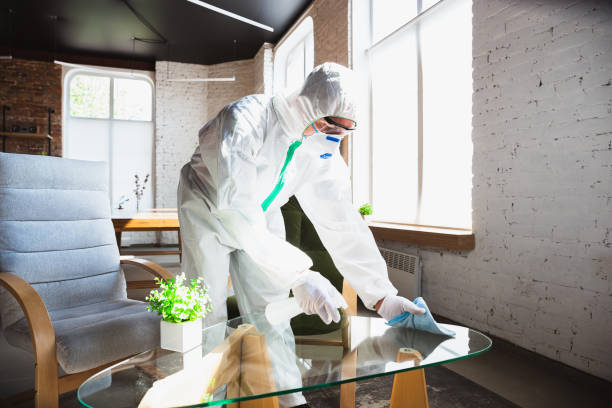 Best Mold Remediation for Vacation Homes  in USA